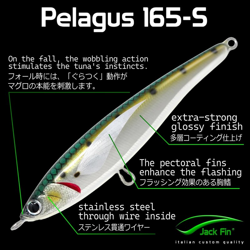 Jack Fin PELAGUS PELAGUS 165S Acciuga Lure Handmade Blue Tuna