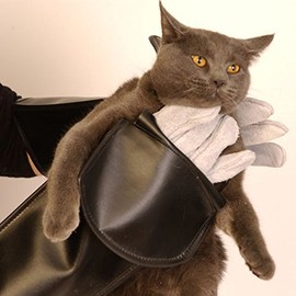 Small Animal Handling Gloves by Proguard Pets