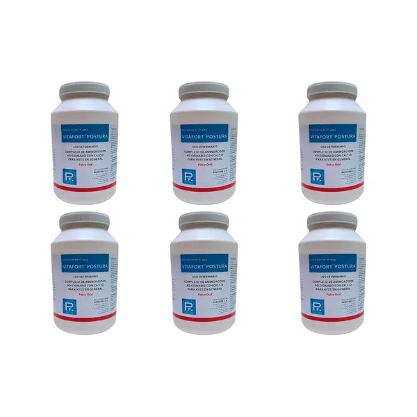 Pack 6 Vitafort Postura 500 Gr