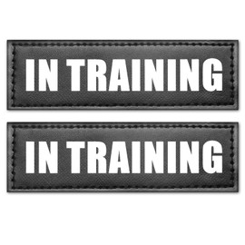 WINSEE Service Dog Patches in Training Patch for Service Vest Dog Harness(2 Pack, L)