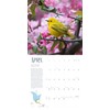 Bird Wall Calendar 2025 | 12” x 24” Birds: Feathered