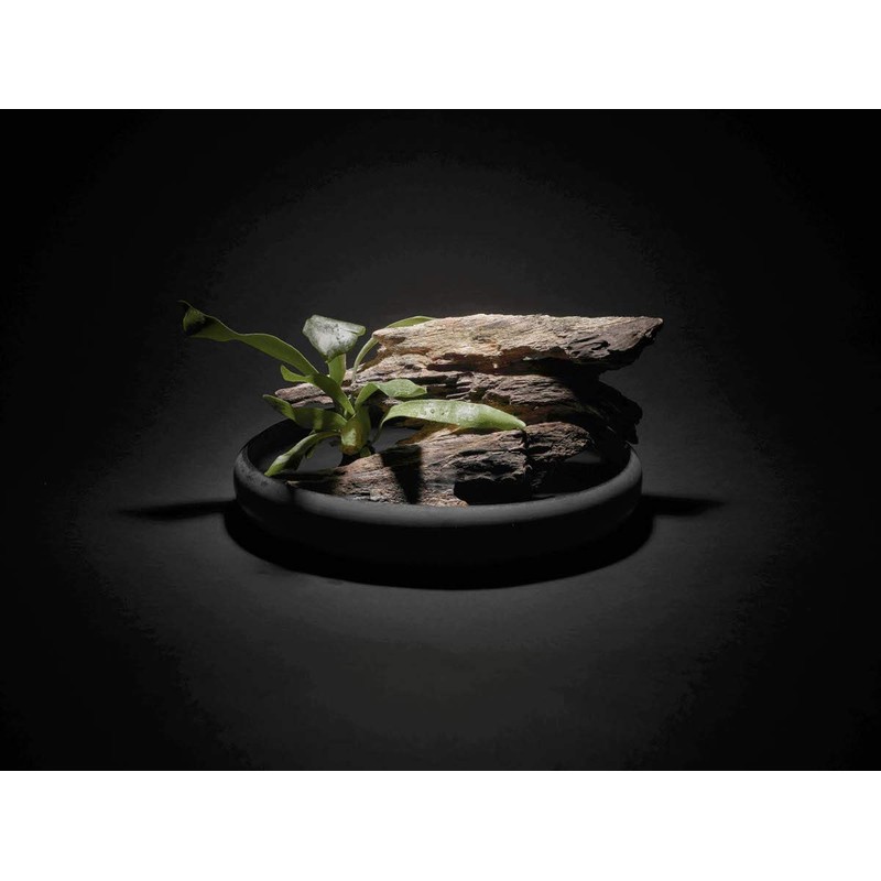Ovject O-IKEBANA30-LO Flower Vase, Flower Base, Flower Base, Hollow Iron,