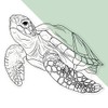 'Sea Turtle' Clear Sticker Decal – Waterproof Film for Windows,