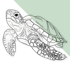 'Sea Turtle' Clear Sticker Decal – Waterproof Film for Windows, Cars, Walls & Crafts, Large (210mm) (DC00129318)