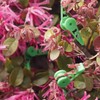 WUSJCOF Pack of 20 360° Adjustable Low Stress Training Plant