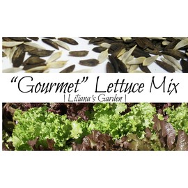 Liliana's Garden Lettuce Seeds - Mixed Lettuce and Greens - Heirloom Varieties