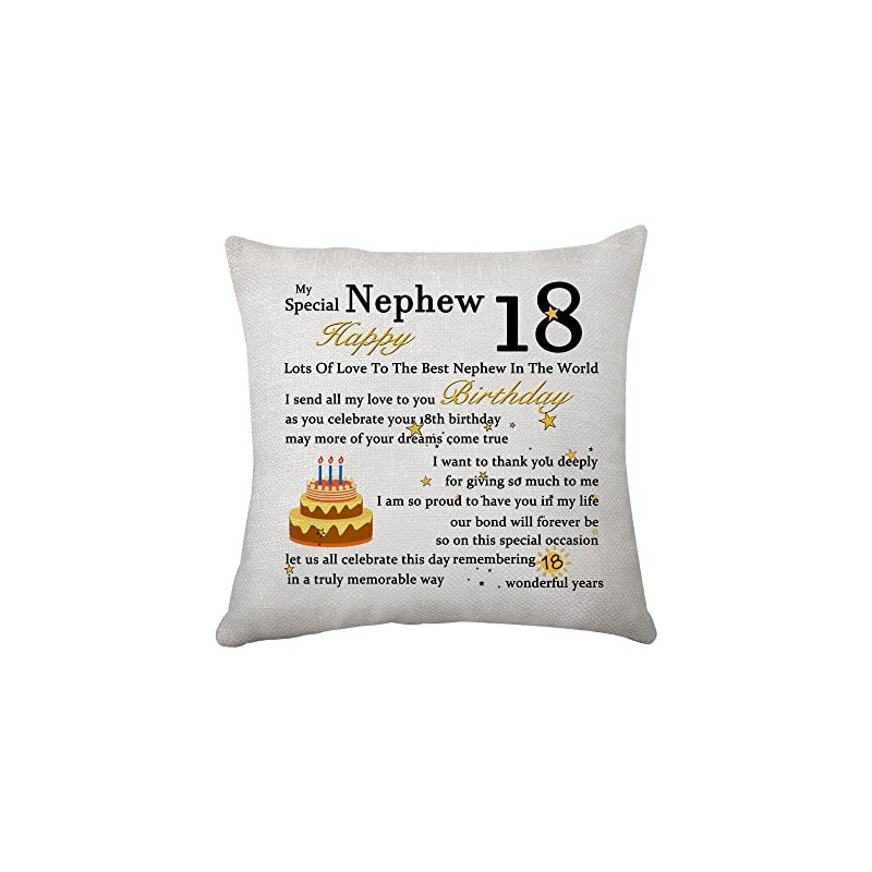 Hasodeo Niece Nephew Birthday Gift Cushion Cover from Aunt Funny