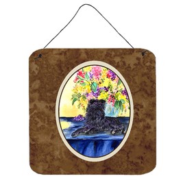 Caroline's Treasures SS8296DS66 Affenpinscher Aluminum Metal Wall or Door Hanging Prints, 6 x 6, Multicolor