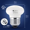 Xtricity R14 LED Light Bulb, 4.5w (40w Equivalent), Dimmable, 300