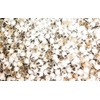 150 Nailheads ,Spots , Studs, WHITE Size 2/16" (3.5mm) with