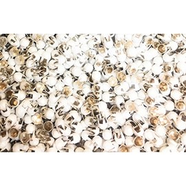 150 Nailheads ,Spots , Studs, WHITE Size 2/16" (3.5mm) with 7 Facets; 4 Prong in plastic container