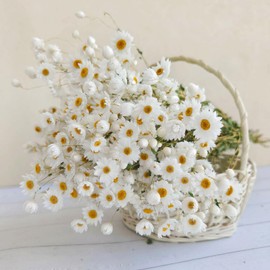 Dried Daisy Flowers Bouquet, 250+ Dry White Flowers, Artificial Sunflowers, 17'' Natural Gerber Daisies Arrangements for Farmhouse Vase Decor, Wedding, DIY Home Office Party Decoration