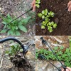 wodehahagou 2 Pcs Weeding Tool Multi Purpose Garden Weeder Tool