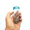 MexHandcraft Aqua Blue Rim 2 oz Tequila Shot Glasses (set
