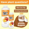 Peach Tree Fertilizer for All Peach, Nectarine and Stone Fruit