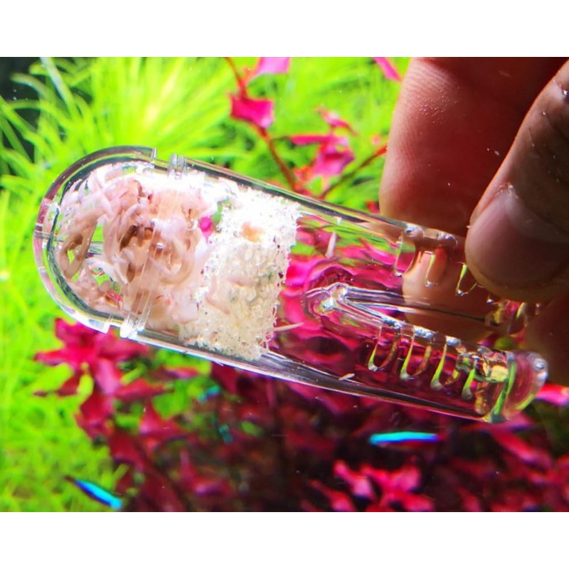 HIERYAN Planaria Trap Catch, Clear Trap Catcher for Cherry Shrimp