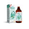 IBShield Tincture 100ml | 6+3=9 Herbs | Iberis Amara, Peppermint,