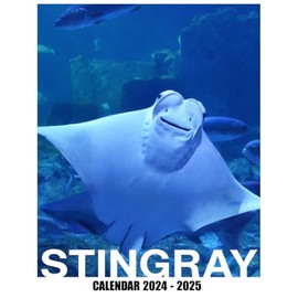 Stingray Calendar 2024 - 2025: Plan Your Year with Monthly Planner Jan 2024 to Dec 2025, Beautiful Photography - Perfect for Gifting