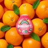 Robinsons Immunity Benefit Drops Orange & Guava, with vitamin B6
