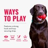 KONG - Cloud Collar - Inflatable Collar - For Injuries,