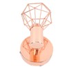Swing Arm Wall Lamp 350 Degree Rotary Cage Shade Iron