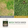 Liquid Lawn Dethatcher 0-0-2, Lawn Dethatcher Liquid - Liquid Thatch