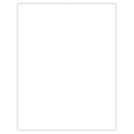 MBR Marketing, Inc. Outdoor Application Car Dealer Buyers Guide Window Stickers Blank (100 PACK)