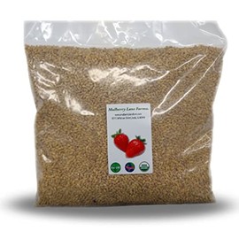 Pearled Barley 5 Pounds Pearl, USDA Certified Organic, Non-GMO Bulk, Product of USA, Mulberry Lane Farms