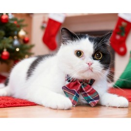 Gyapet Christmas Cat Collar with Bow Tie Flower Sailor Bowtie Breakaway Safety Detachable Plaid Kitten Cats Pet Cute B Sailor Bow-Red
