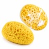 Body Bath Sponges for Adults,Bath Sponge,Shower Sponge,Pack of 2
