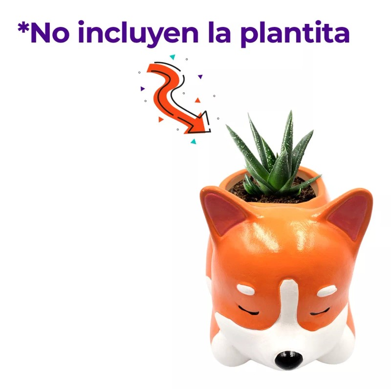 Muna Maceta Cerámica Esmaltada Animales Cactus Suculenta Decorada