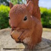 Real Life Baby Red Squirrel | Resin Home or Garden