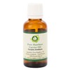 R V Essential Pure Hazelnut Carrier Oil 15ml (0.507oz)- Corylus