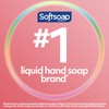 Softsoap Softsoap Moisturizing Liquid Hand Soap, Milk and Honey, 7.5
