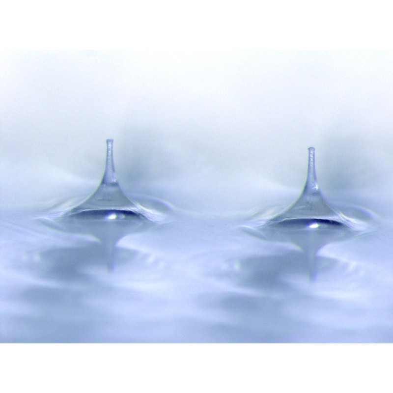 quanis kuonisu da-mafira- with 8 Set (Left, Right, 2 X 8 Set)