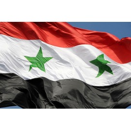 Cosymate Syria Flag - Syria Flag with Brass Eyelets - Durable Flag for Flagpole - 100% Polyester - 90 x 150 cm