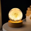 DESHINTKE Dandelion Glowing Crystal Ball Eternal Flower Paperweight