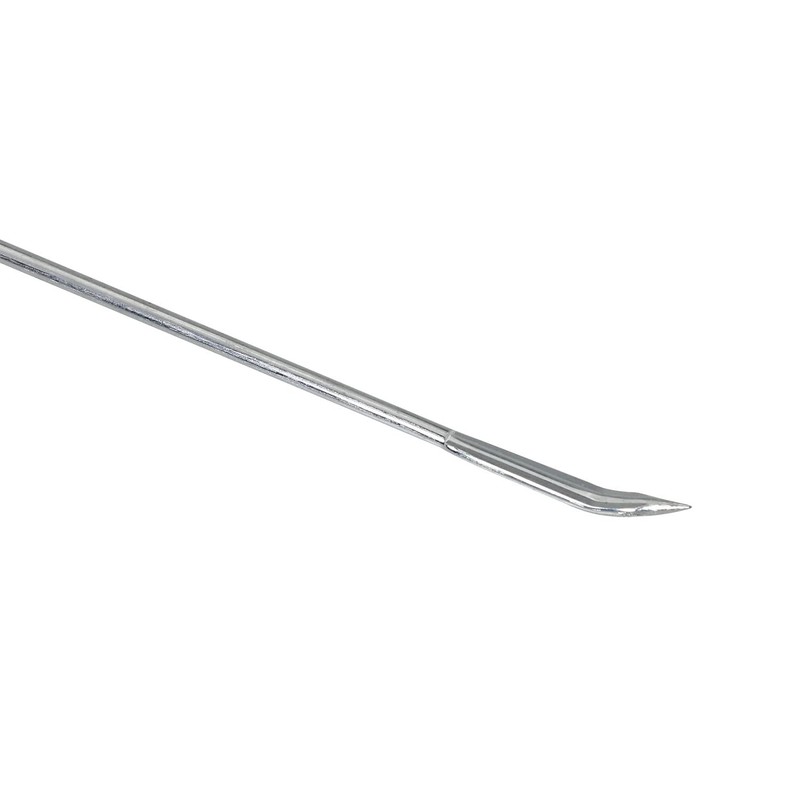 DGBRSM 6pcs Stainless Steel Poultry Cooking Needles for Securing Stuffed