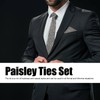 6pcs Paisley Ties Set Casual Business Style Polyester Yarn Paisley