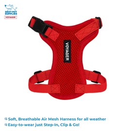 Voyager Step-in Lock Adjustable Cat Harness w. Cat Leash Combo Set with Neoprene Handle 5ft - Supports Small, Medium and Large Breed Cats by Best Pet Supplies - Red, XXS