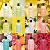 Melon Daiquiri Hydrating Shower Gel by Philosophy for Unisex -