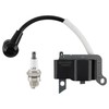 CARBBIA A411001521 Ignition Coil A411001520 Compatible with Echo PB-770 PB-770H