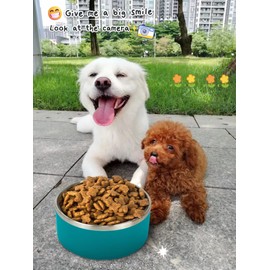 IKITCHEN Dog Bowl for Food and Water, 64 Oz Stainless Steel Pet Feeding Bowl, Durable Non-Skid Double Wall Insulated Heavy Duty with Rubber Bottom for Medium Large Dogs (64 Ounces/8 Cup, Lakeblue)