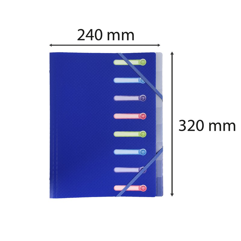 Exacompta 56180E Premium Folder Opaque Made of Sturdy Plastic DIN