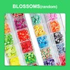 TRACOMPAN Epoxy Resin Accessories Kit 2 Boxes Polymer Fruit Flower
