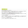 DIC Plastic Super Lightweight Helmet KEIJIN Light Gray AA17-HA5E-K17-GY