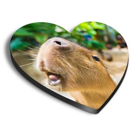 1x Heart MDF Magnet 6cm - Cute Capybara Large Rodent Animal - Fridge Locker Office Whiteboard Toolbox #50651