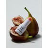 Lip Balm Stick Levres 4g (Choose 1 of 3 types)