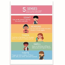 5 Senses Touch Taste Sight Smell Hearing Definitions Classroom Poster - Learning The 5 Senses - Elementary - 12 x 18 Inch - Classroom Decor - Classroom Must Haves - Back To School Decor - CPS0300