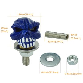 Arenbel Skull License Plate Screws Motorcycle Frame Bolts Nuts Car Tag Fasteners Kit Fit Vehicles Motorcycle Trucks SUV, 4Pcs Blue